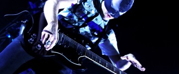 bloodybeetroots_light