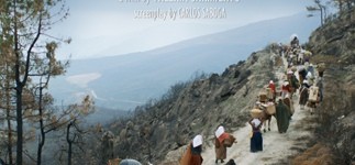 wpid-Photo-02set2012-1957.jpg