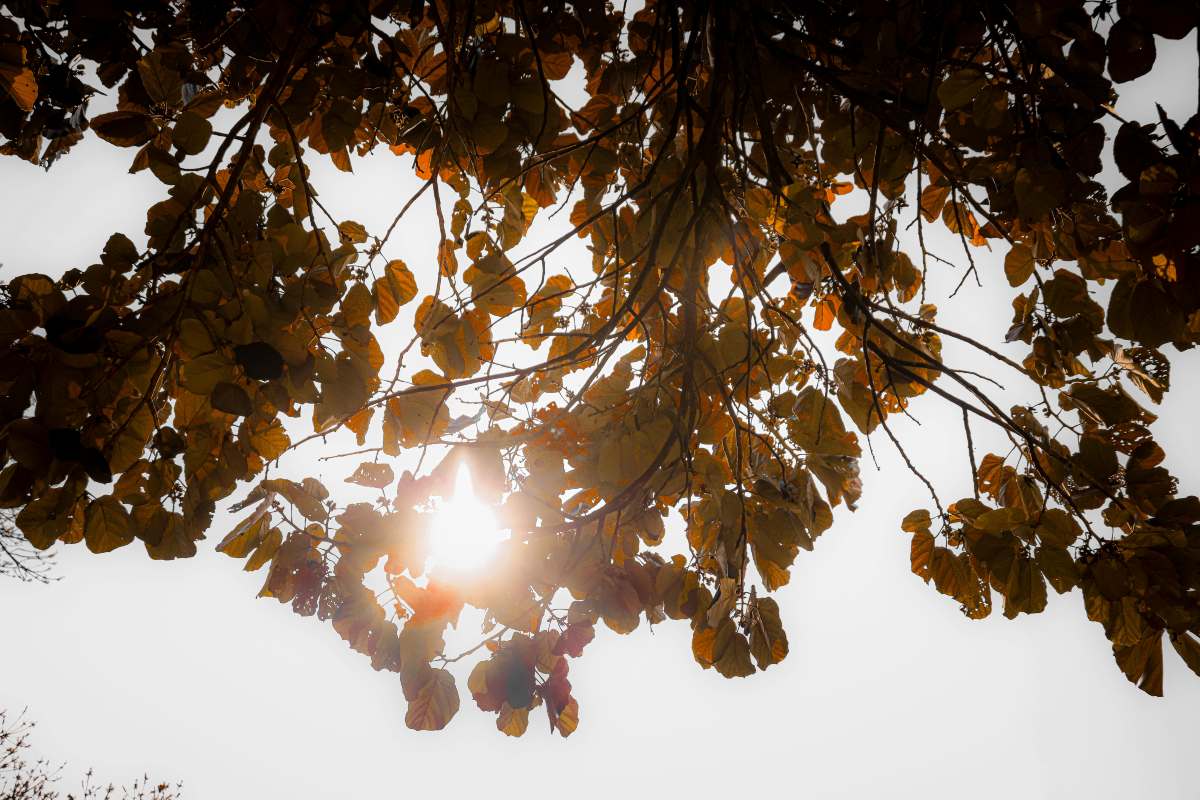 Estate non è finita meteo settembre
