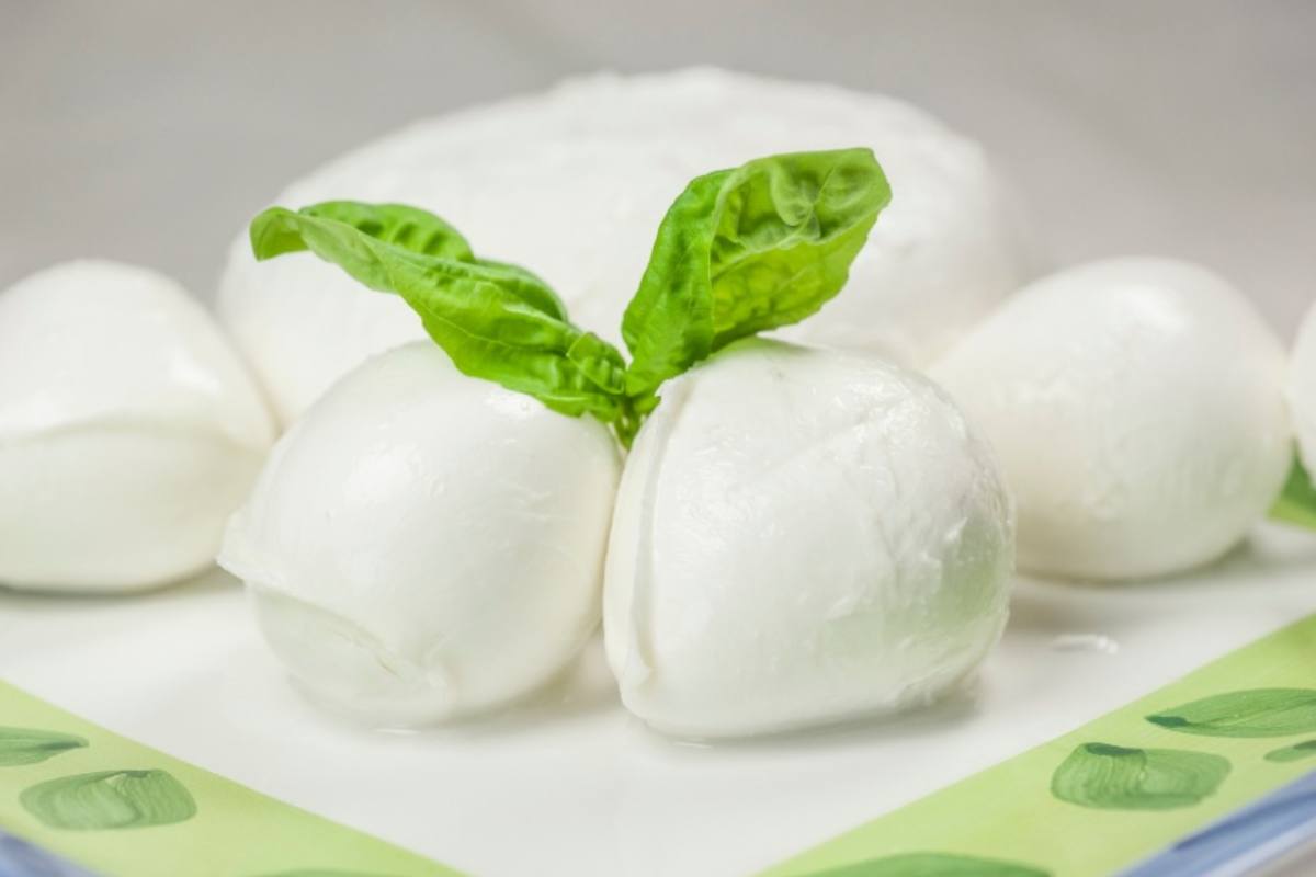Mozzarella