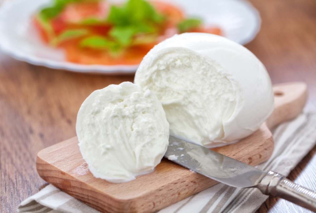 Mozzarella