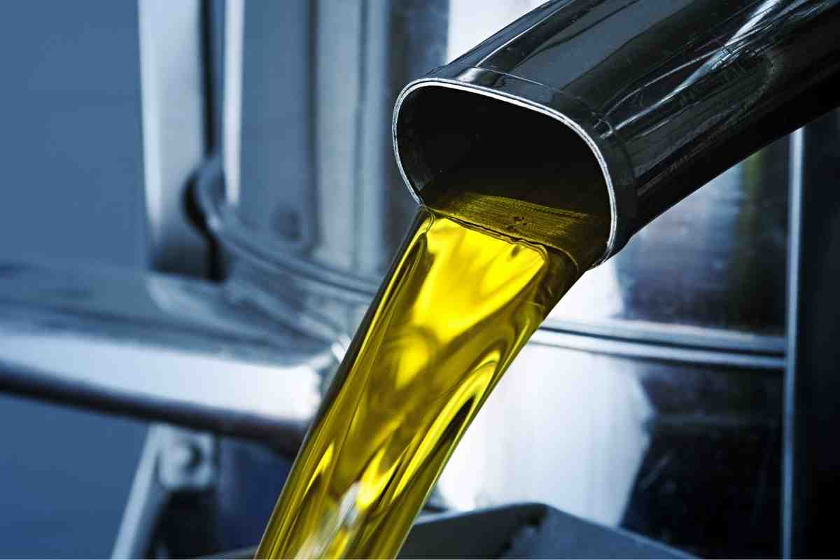 olio normale o olio extravergine di oliva differenze