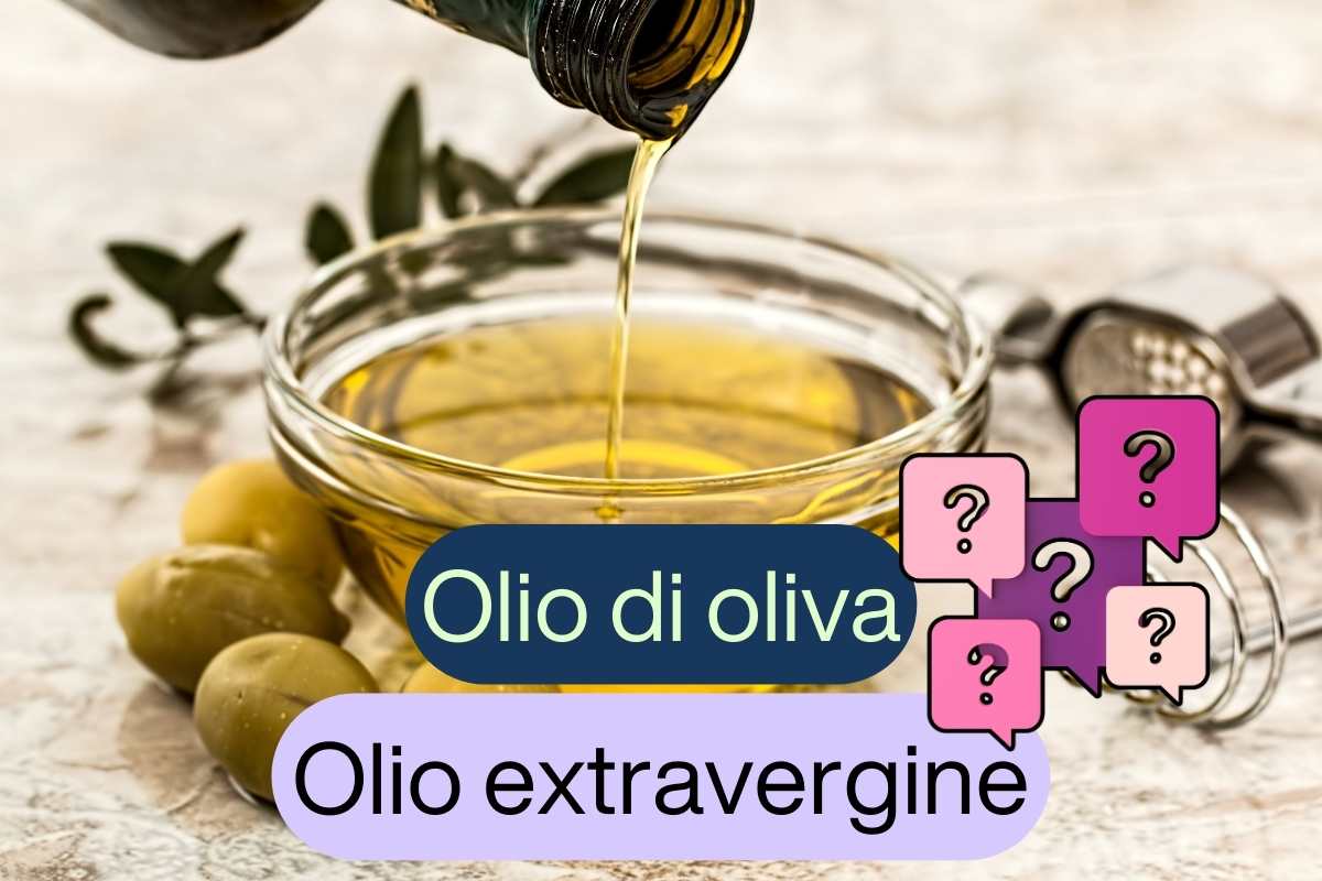olio normale o olio extravergine di oliva differenze