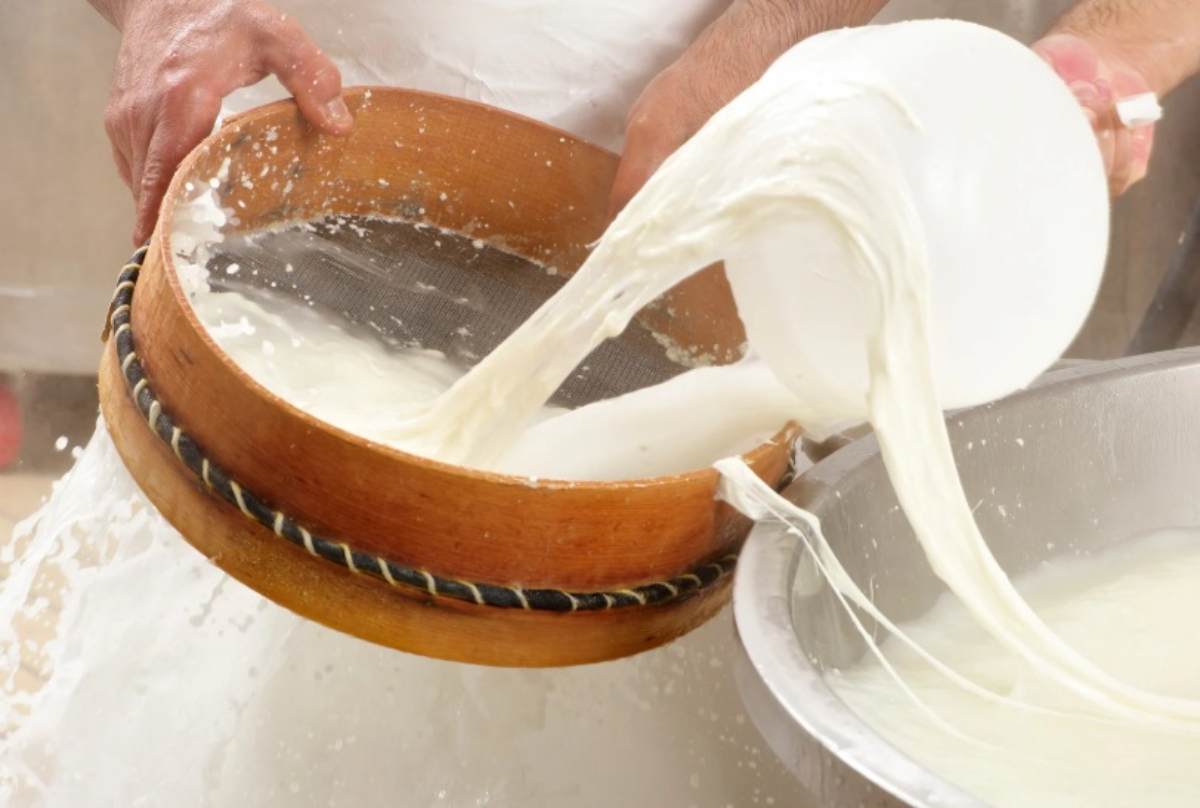 Fare la mozzarella