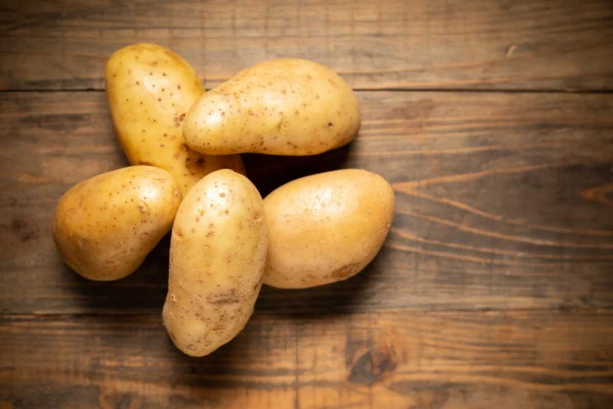 Patate