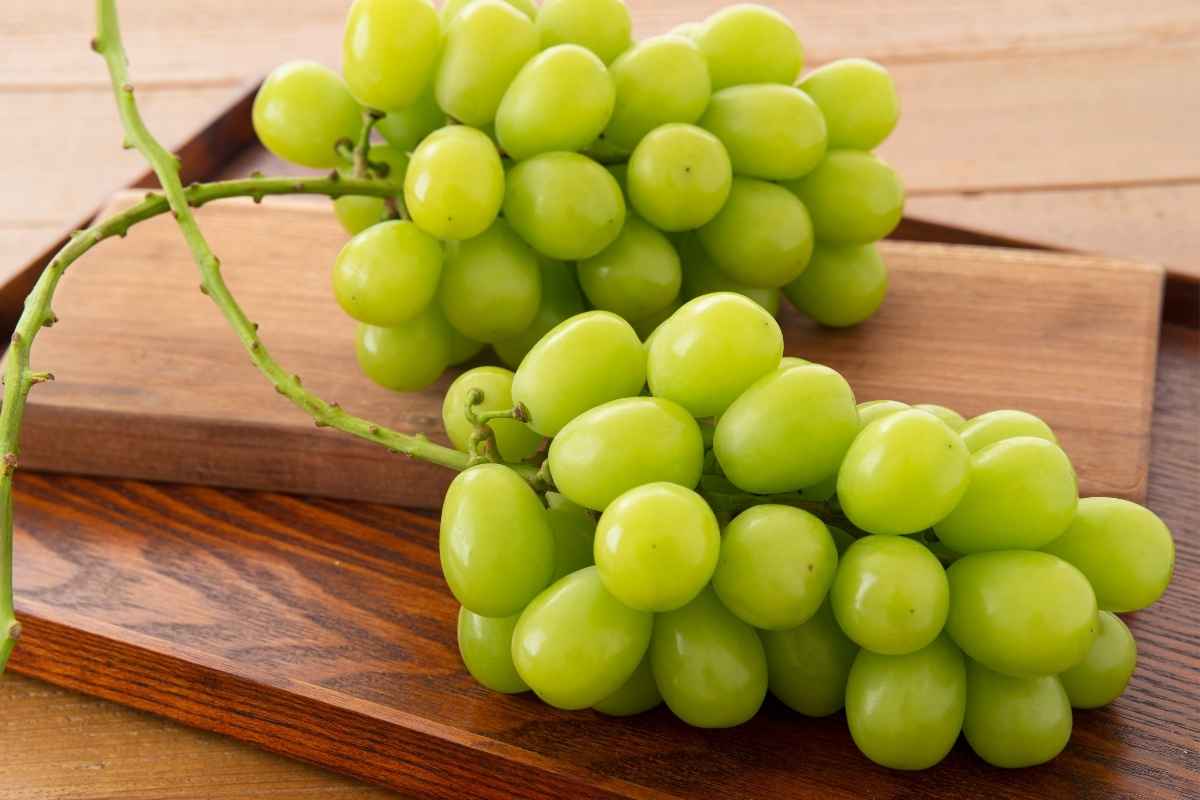 ricetta uva sotto spirito