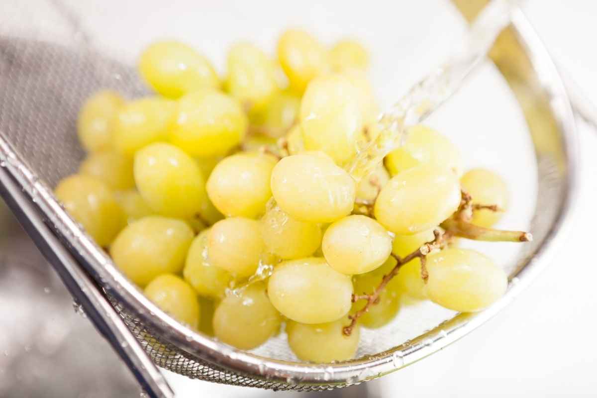ricetta uva sotto spirito